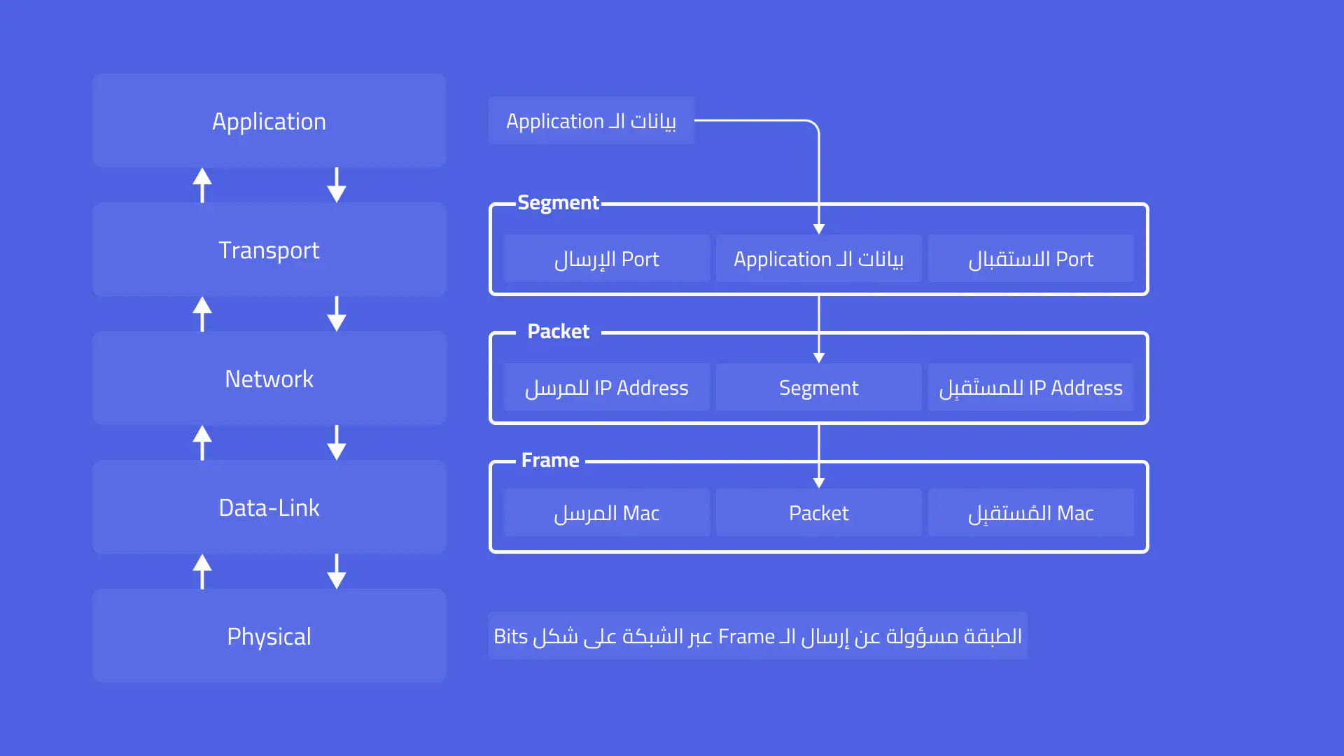 صورة توضح محتويات الـ Packet في الـ Network Layer