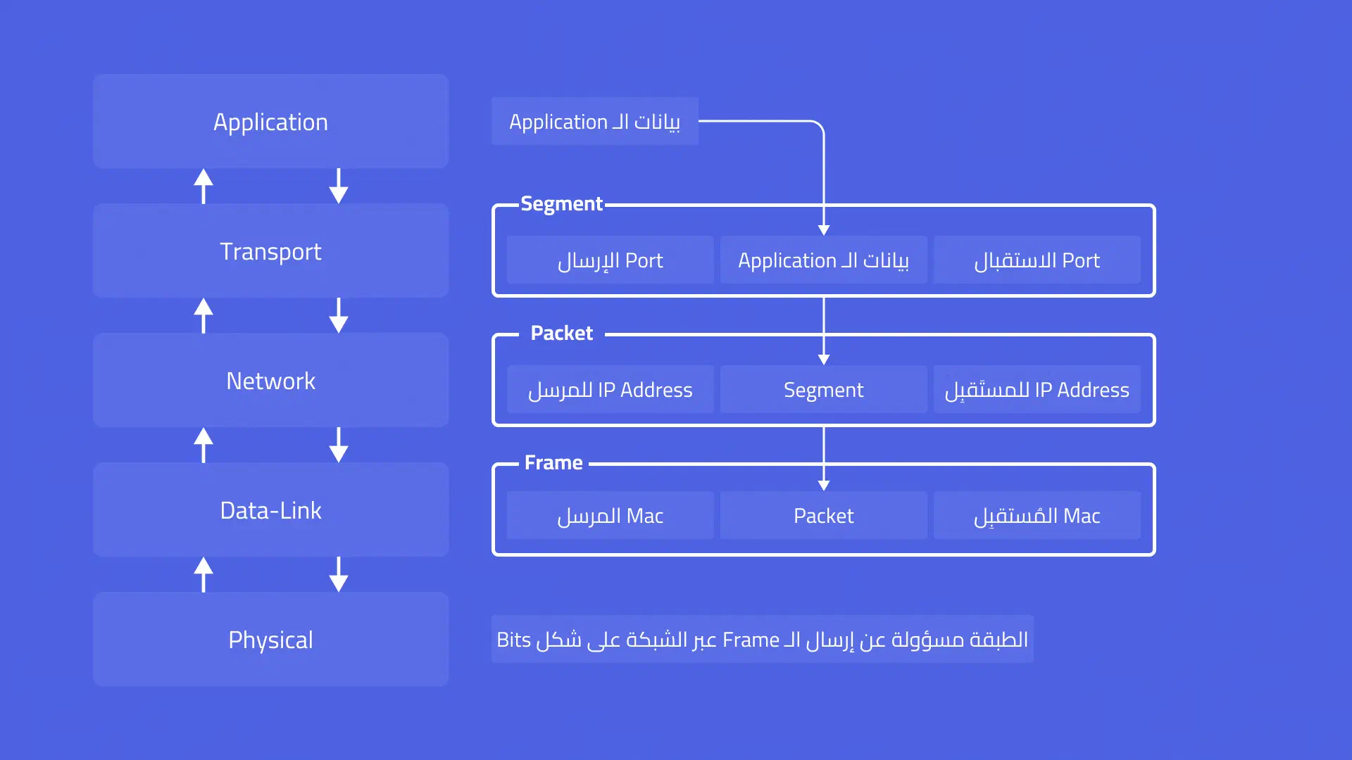 صورة توضح محتويات الـ Packet في الـ Network Layer