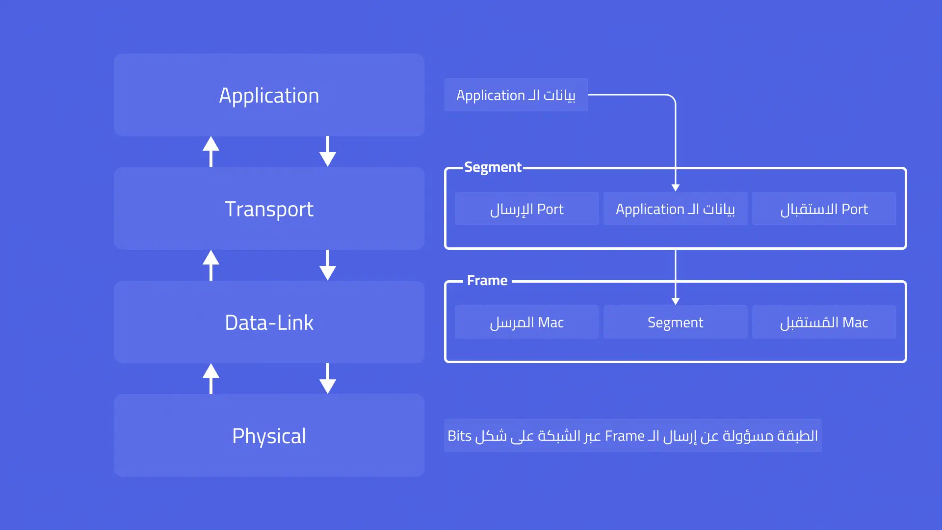 رسم توضيحي لبيانات الـ Segment داخل الـ Transport Layer