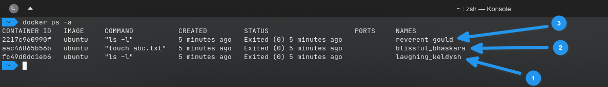 صورة توضح نتيجة الأمر docker ps -a