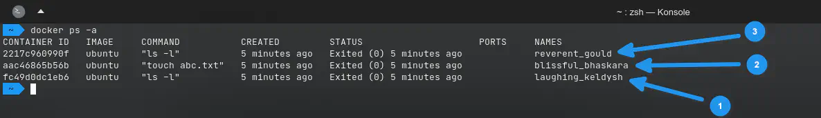 صورة توضح نتيجة الأمر docker ps -a