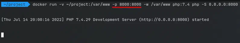 إضافة port binding إلى الأمر الخاص بتشغيل الحاوية