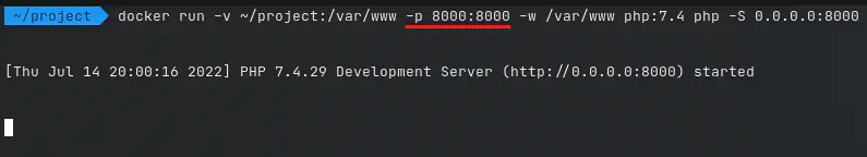 إضافة port binding إلى الأمر الخاص بتشغيل الحاوية