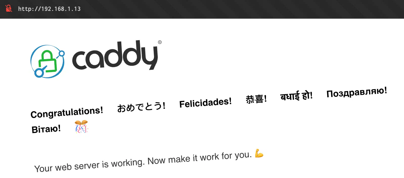 صورة تظهر نتيجة تشغيل Caddy Server على المتصفح بالـ IP Address المرتبط بالـ Network Interface