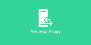 شرح مفهوم الـ Reverse Proxy مع بعض تطبيقاته العملية