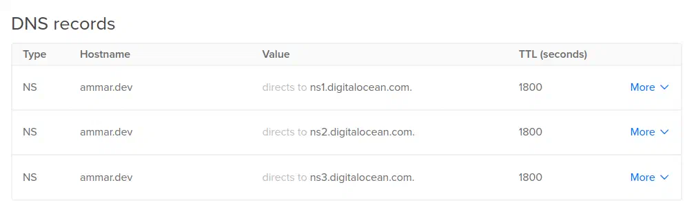 إعدادات الـ Name Server Records