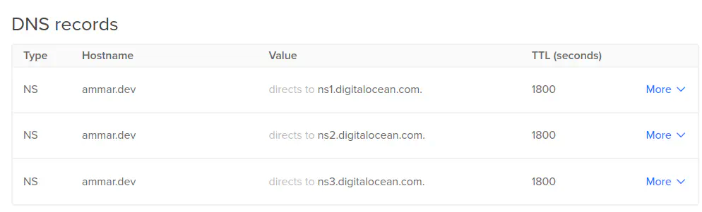 إعدادات الـ Name Server Records